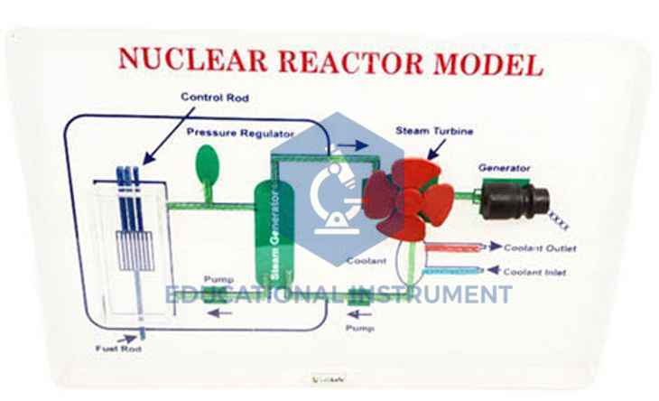 Nuclear Reactor Model